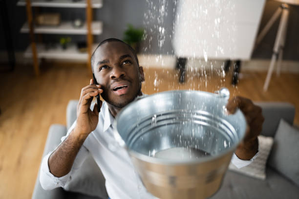 Best Local water damage restoration  in Galveston, IN