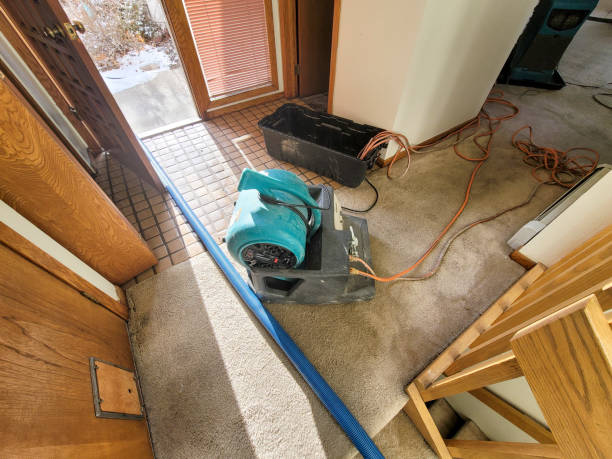Best Flooded house restoration  in Galveston, IN
