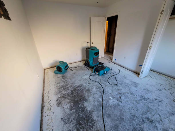 Best Emergency water extraction  in Galveston, IN