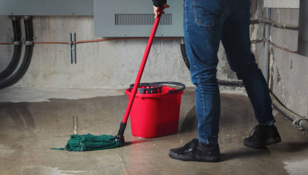 Best Flood restoration services  in Galveston, IN