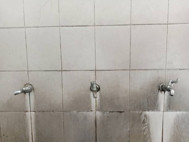Best Water damage restoration mold remediation  in Galveston, IN