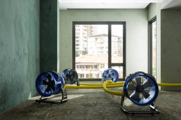 Best Water damage restoration near me  in Galveston, IN